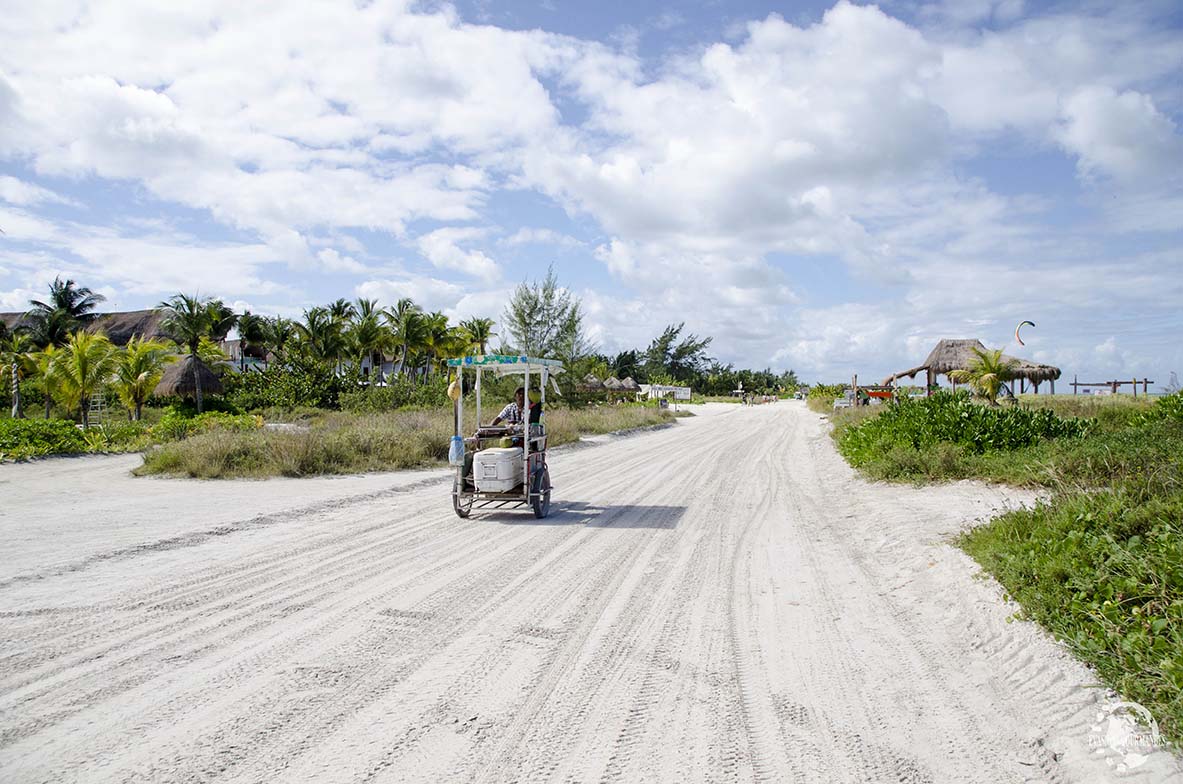 Holbox