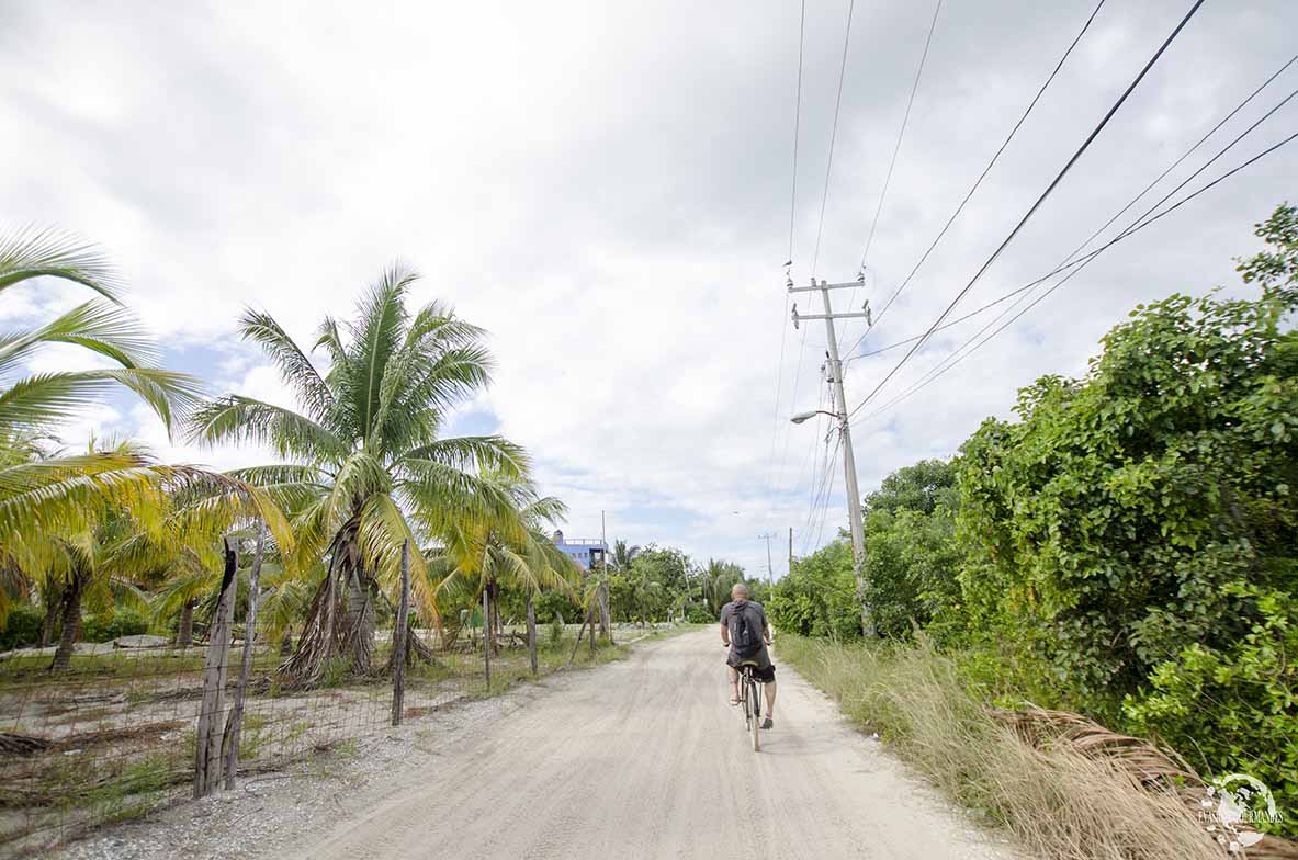 Holbox