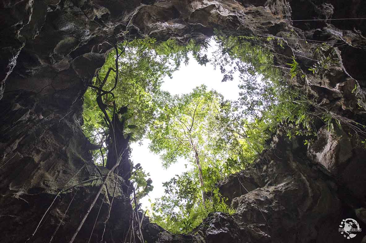 Grottes Los Haitises