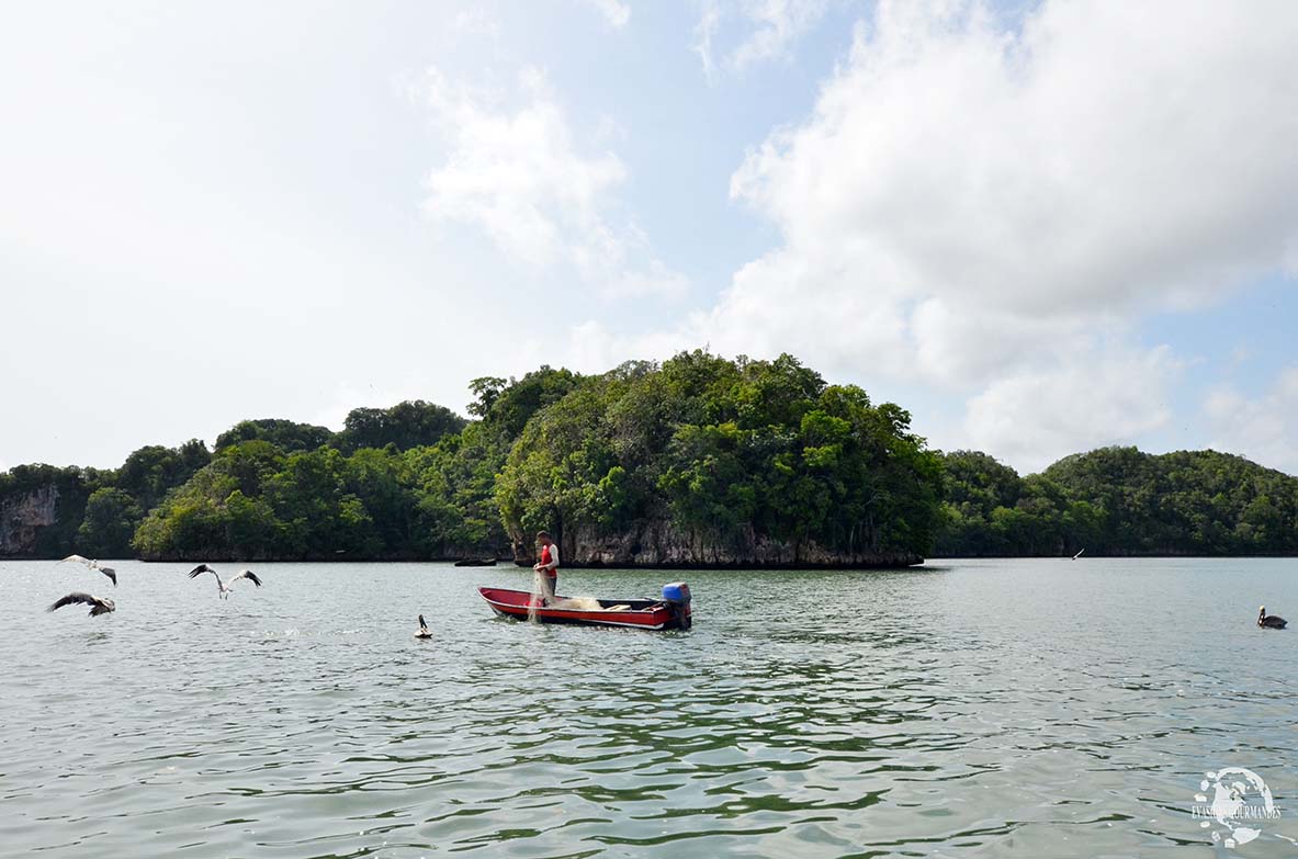 Los Haitises pêcheur