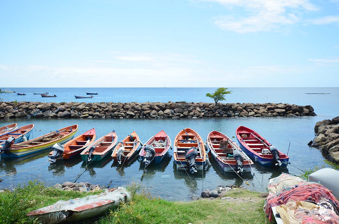 Petite Anse d'Arlet