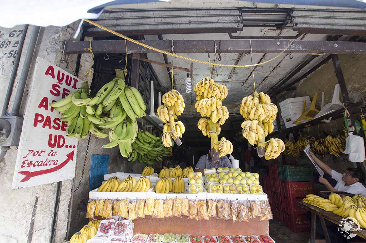 Street food Mérida