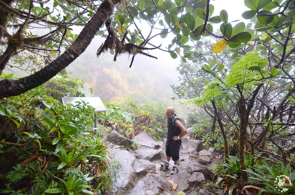 La Soufrière Guadeloupe