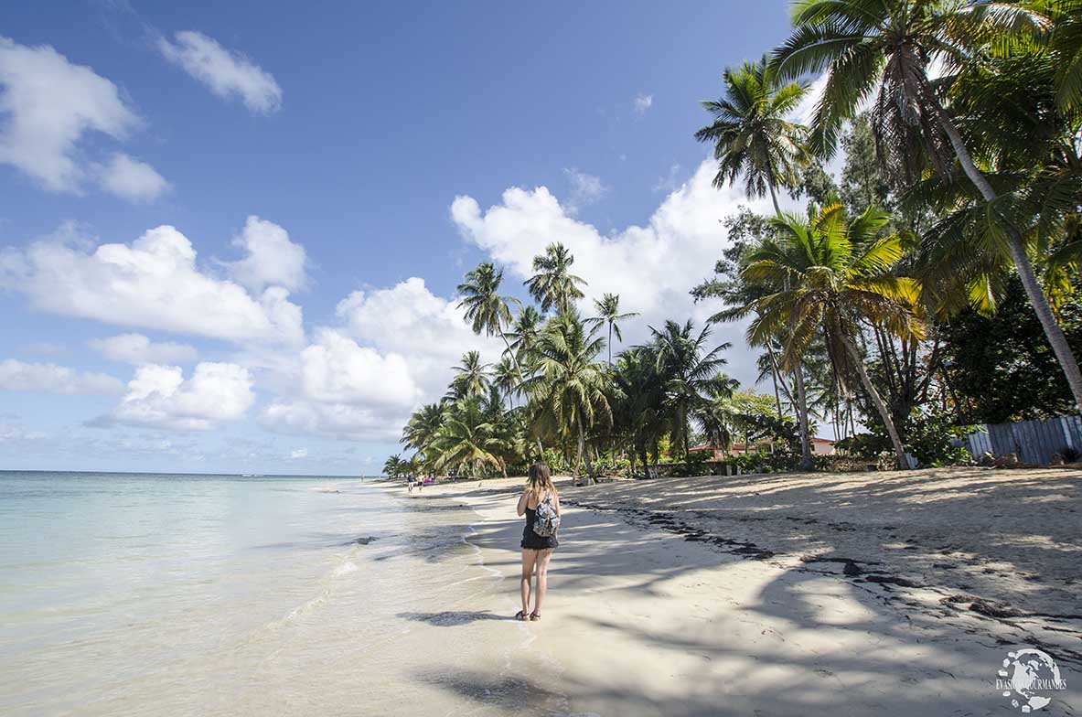 location quad Las Terrenas