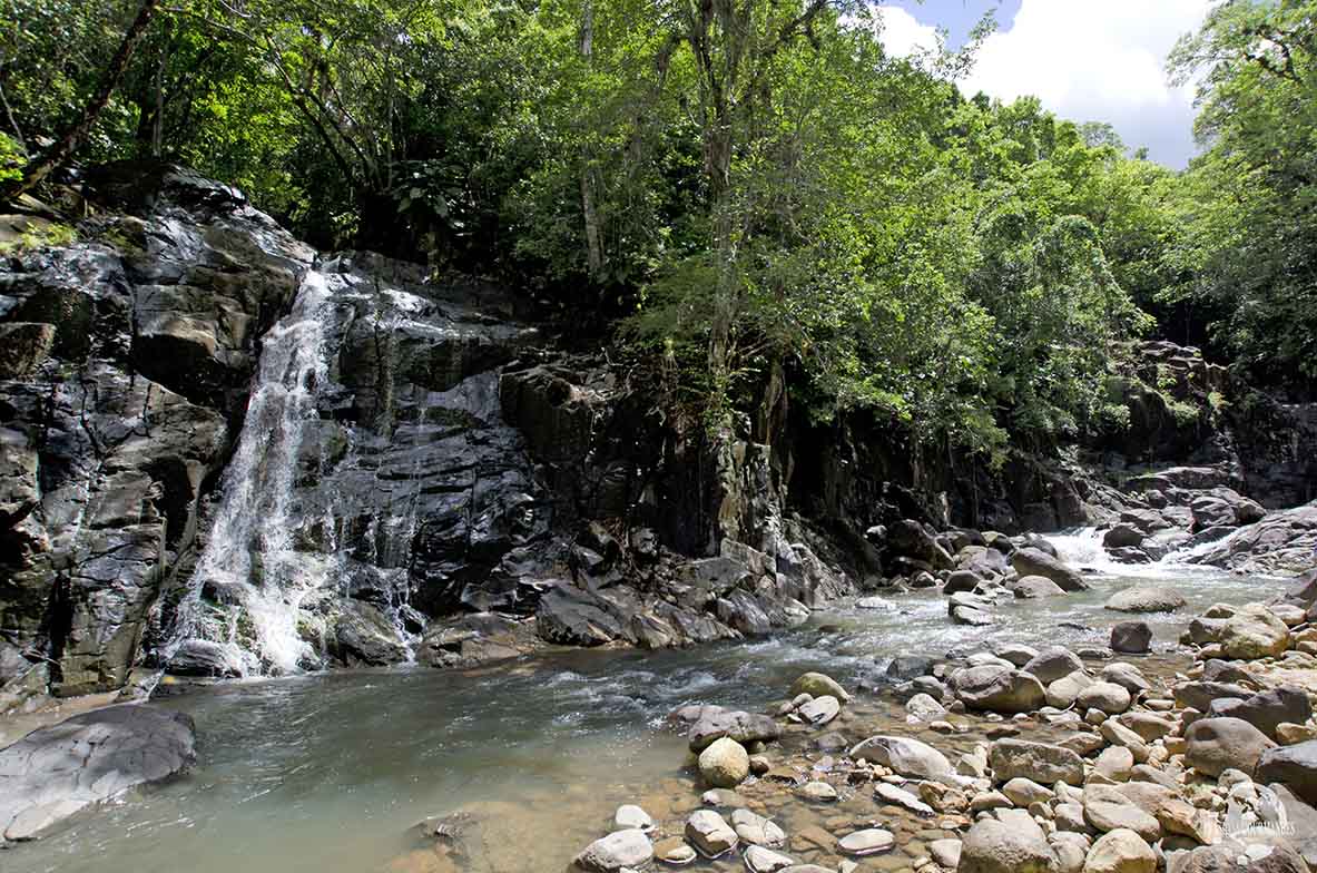 Saut de l'Acomat