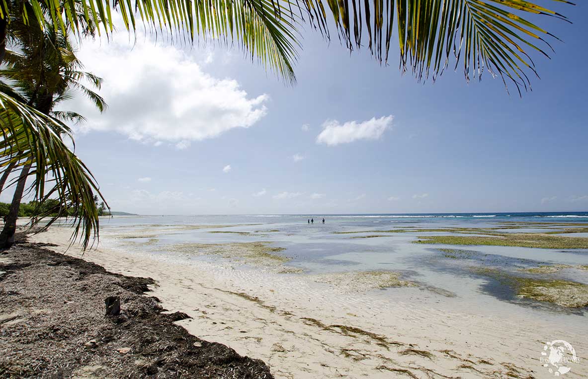 Plage Bois Jolan