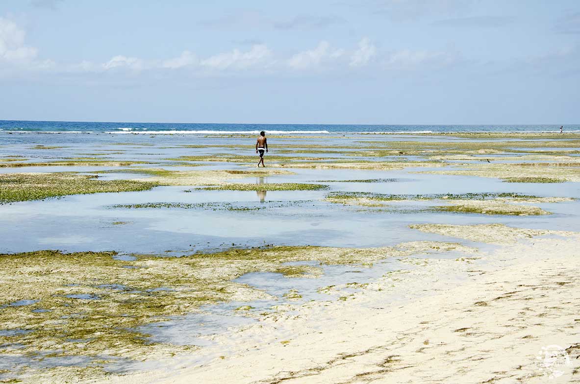 Plage Bois Jolan