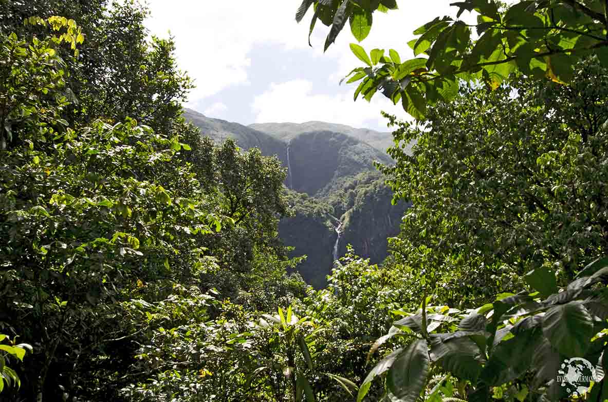 Chutes du Carbet