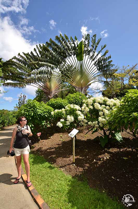 Jardin botanique Deshaies