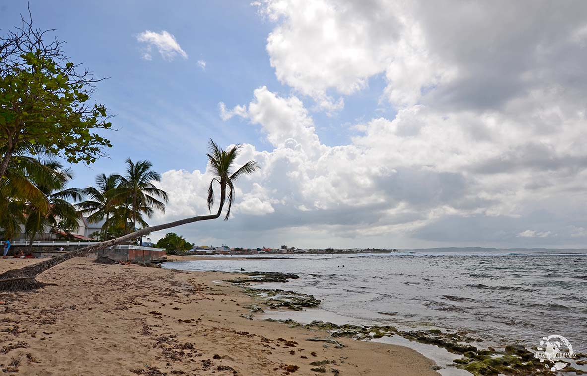 Le Moule Guadeloupe