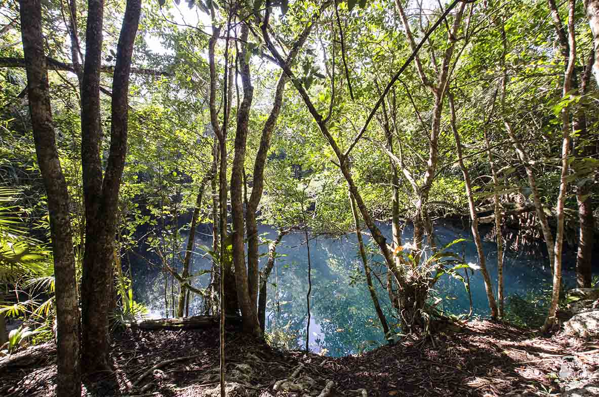 Cenote Angelita