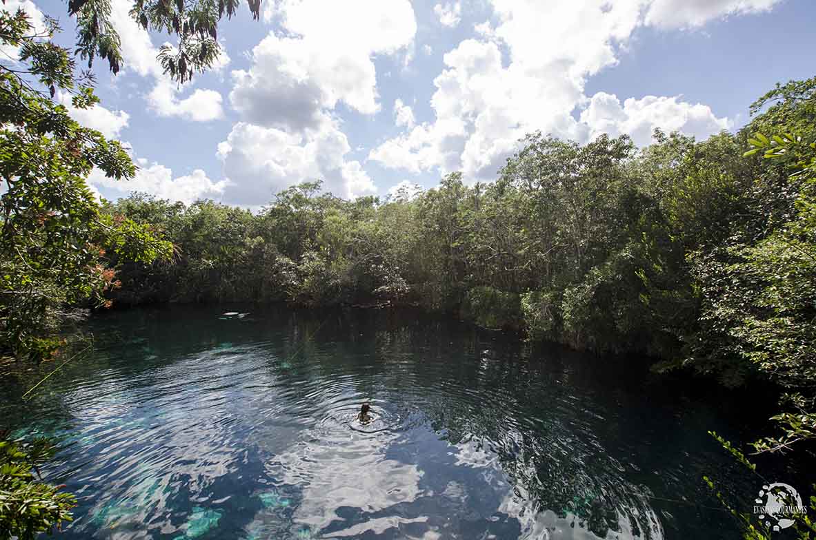 Cenote Carwash