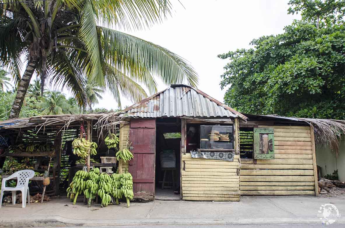 Vie locale République Dominicaine