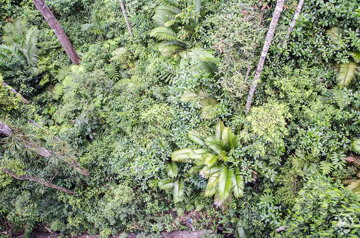 The Habitat Penang