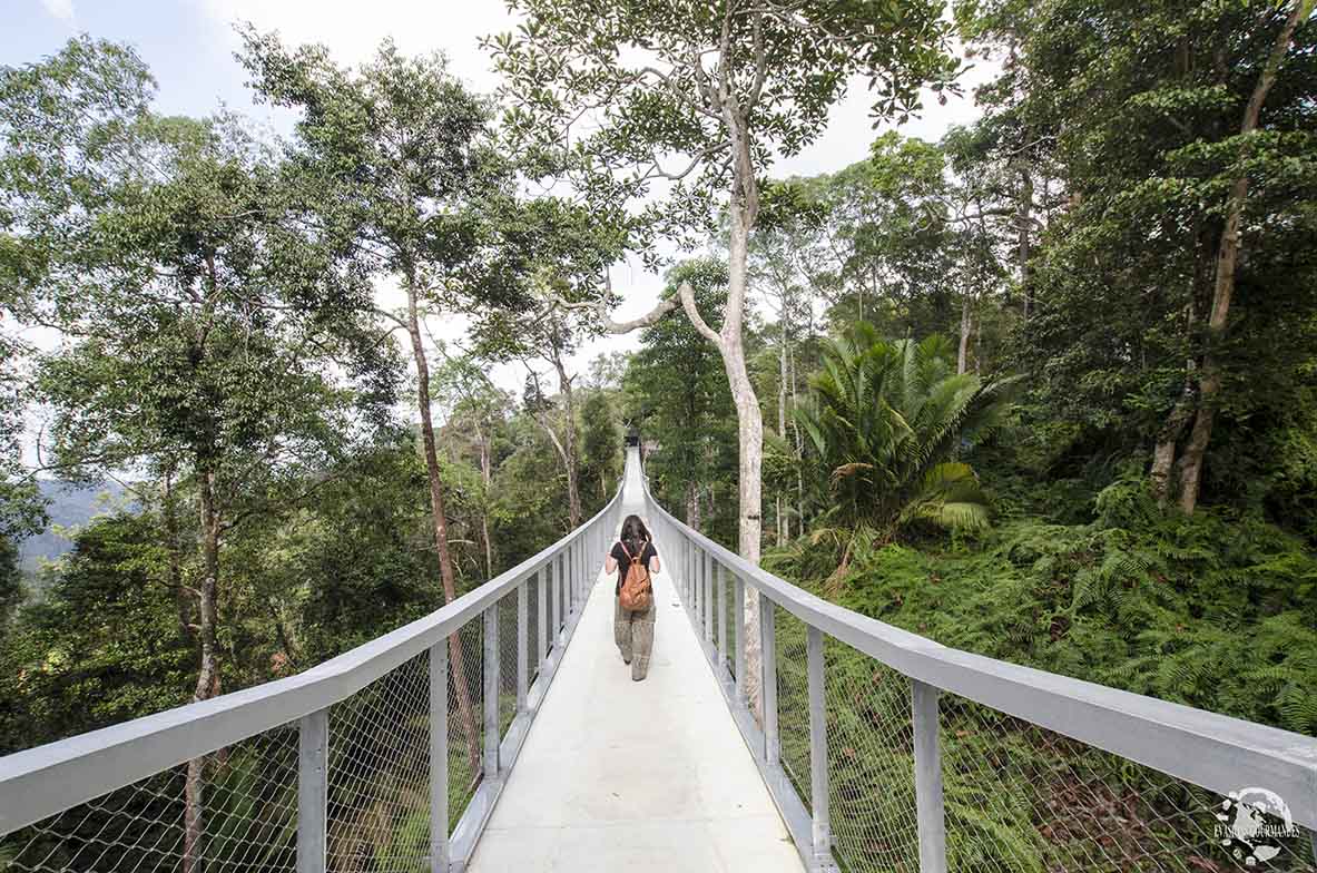 The Habitat Penang