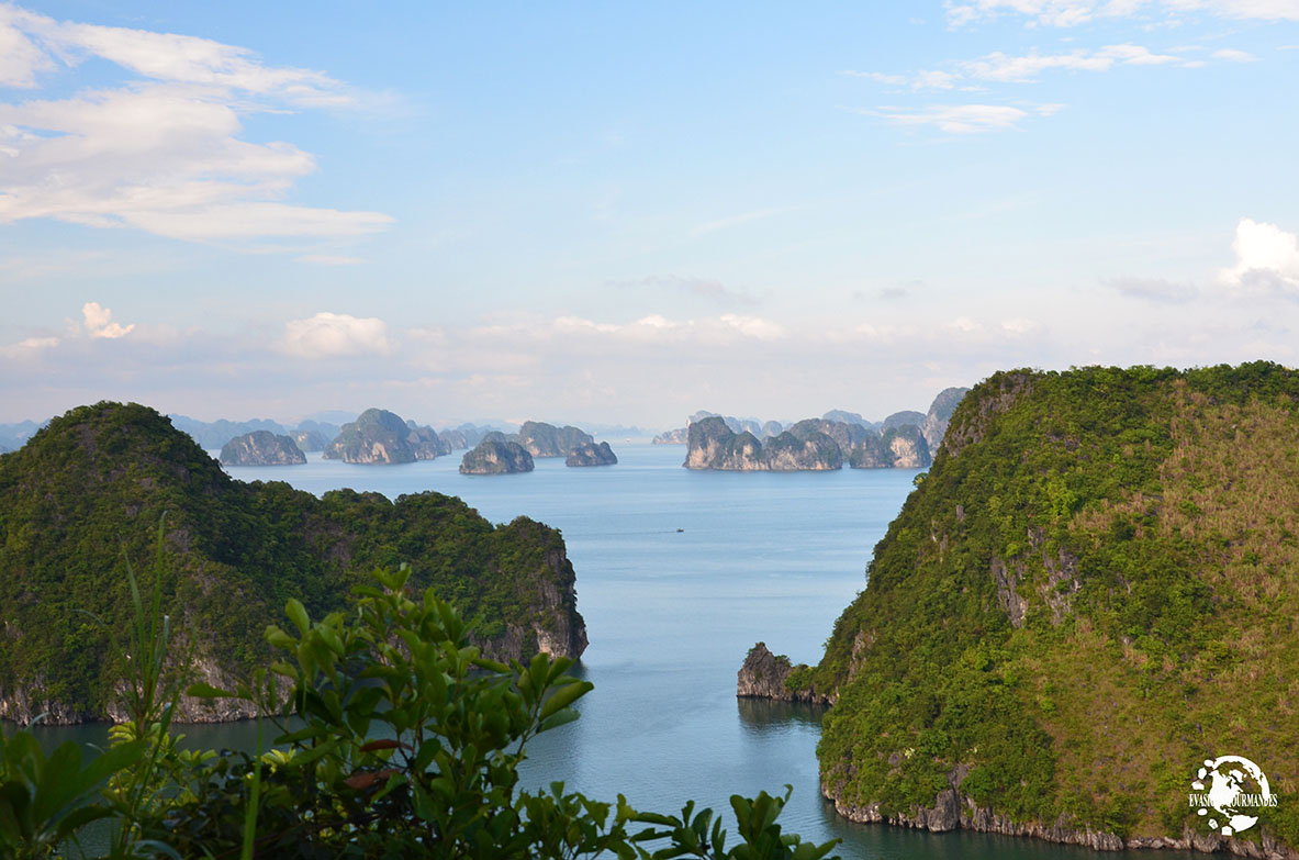 Visiter la Baie d'Ha Long