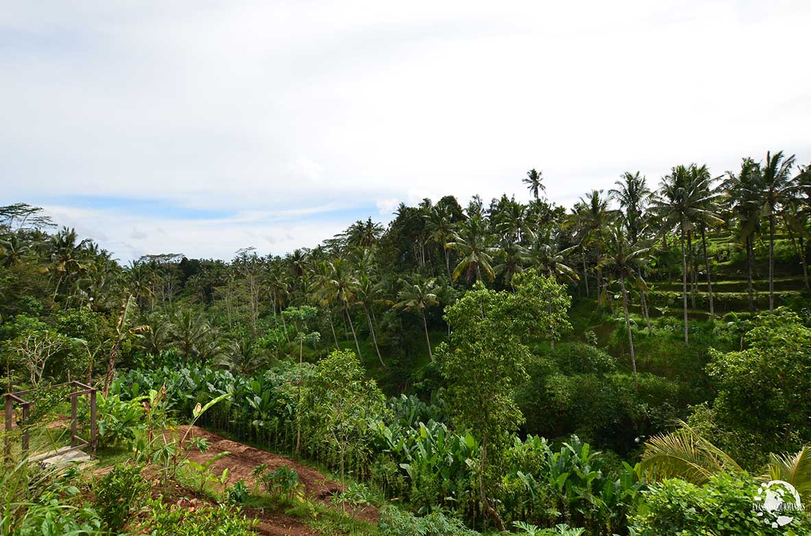 Où dormir à Ubud ? Bersila maison du bonheur