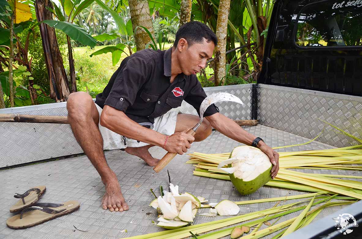 Fresh coconut