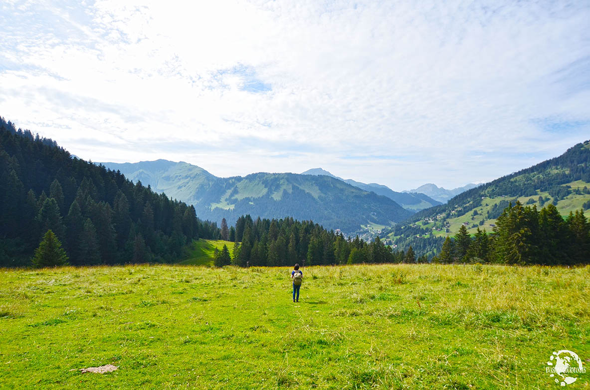 morgins Morgins
