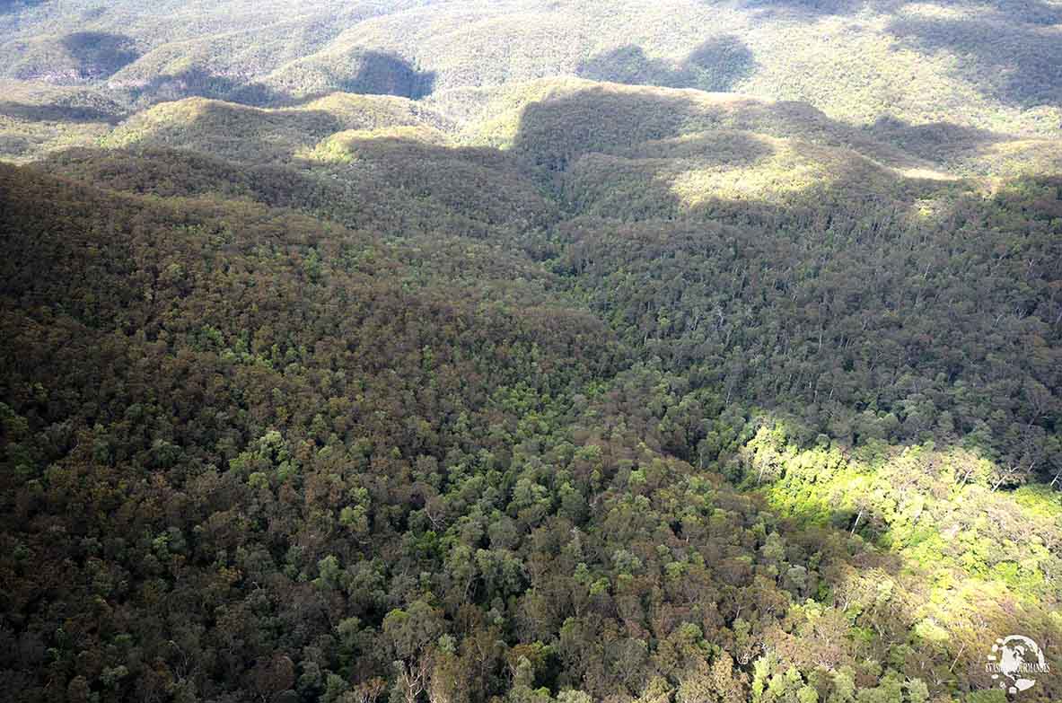 visiter les Blue Mountains en 1 journée