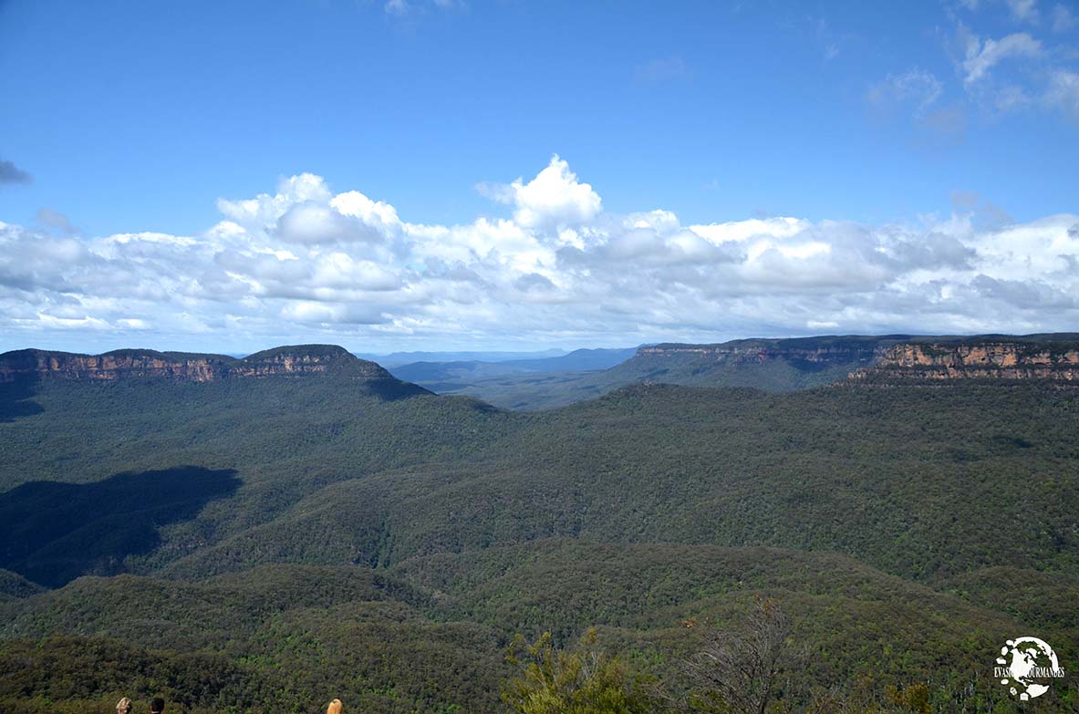 visiter les Blue Mountains en 1 journée