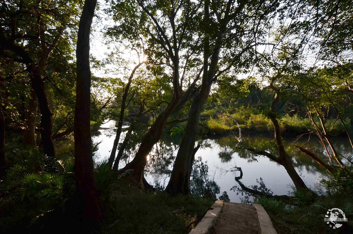 Lodge en Afrique du Sud