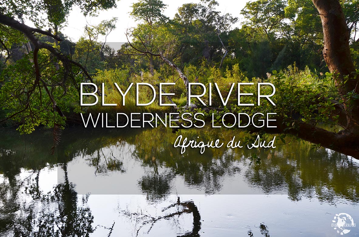 lodge_afrique_du_sud_evasions_gourmandes Lodge en Afrique du Sud