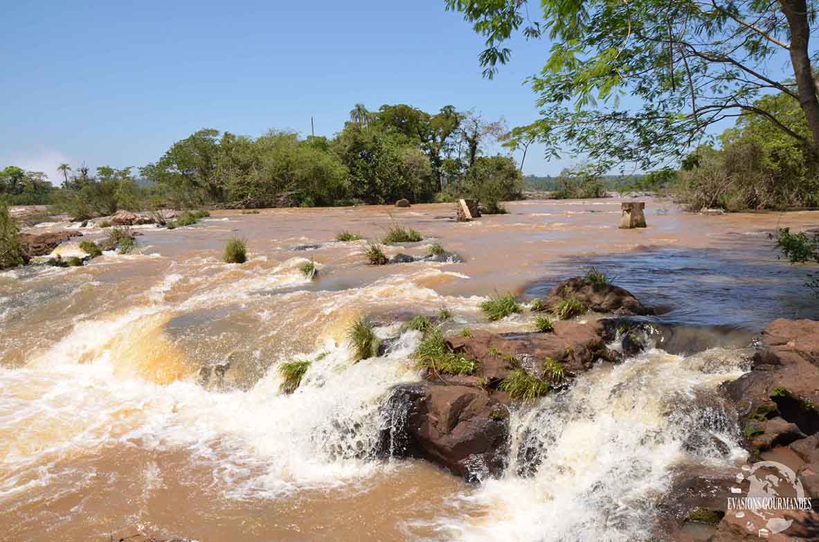 Chutes d'Iguazu