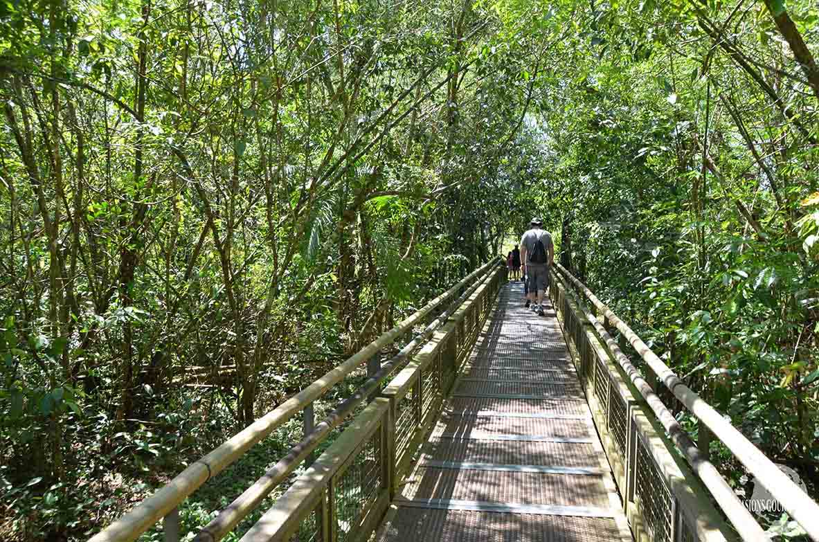 Chutes d'Iguazu