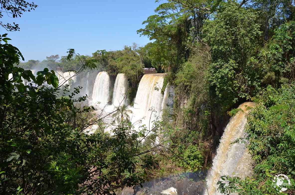 Chutes d'Iguazu