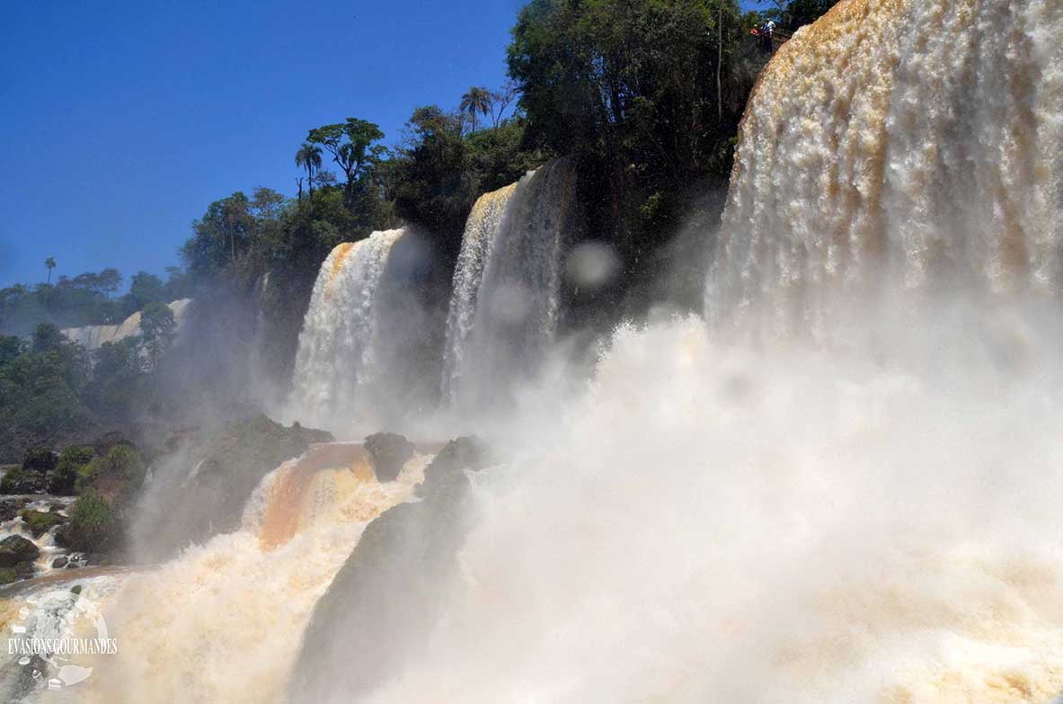 Chutes d'Iguazu