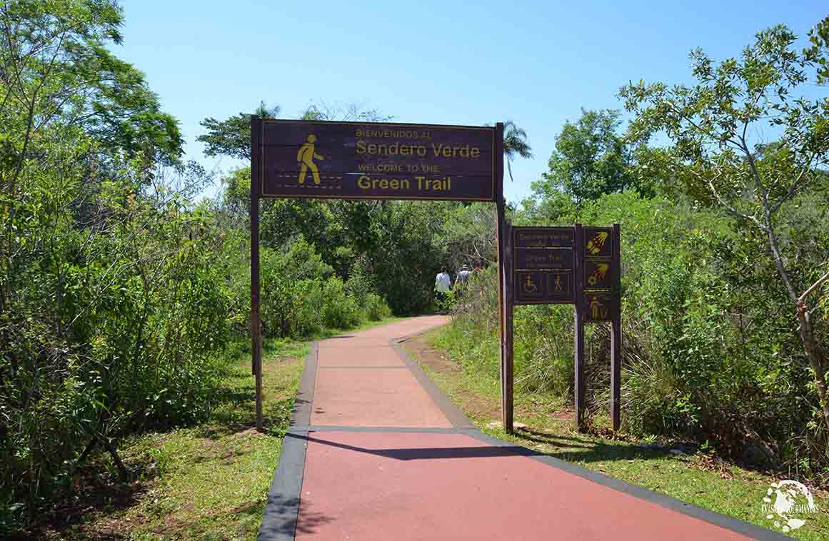 Chutes d'Iguazu