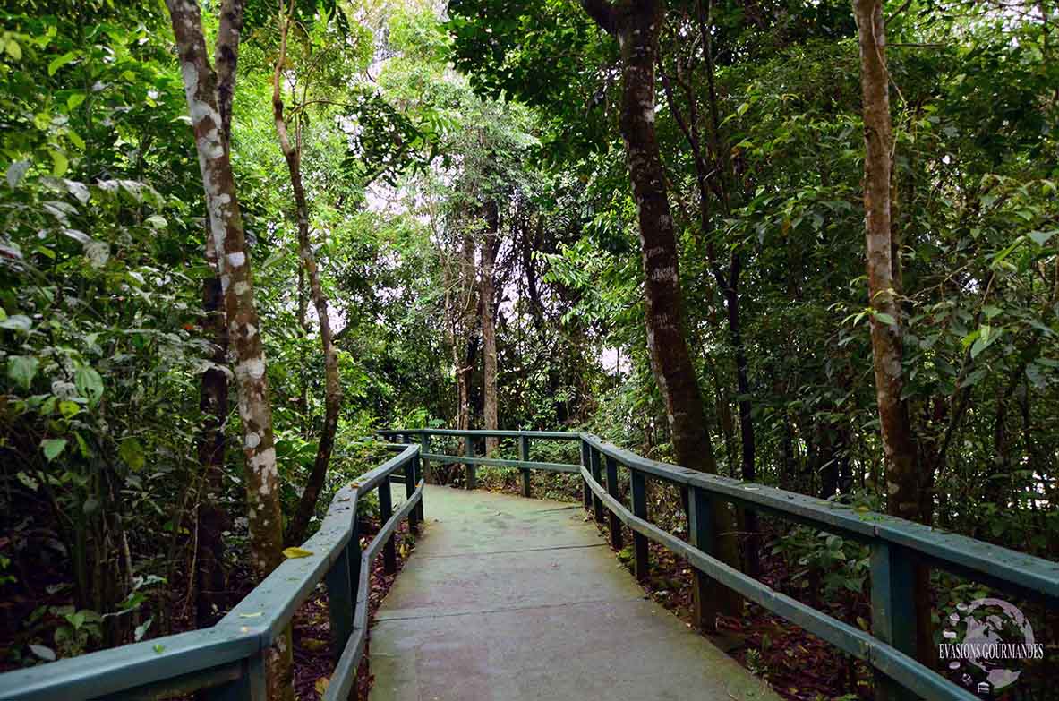 chutes d'Iguazu : quel côté choisir ?