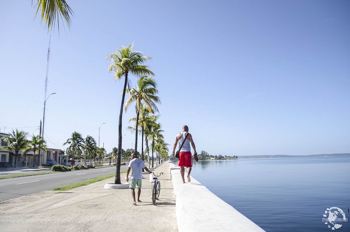 Cienfuegos