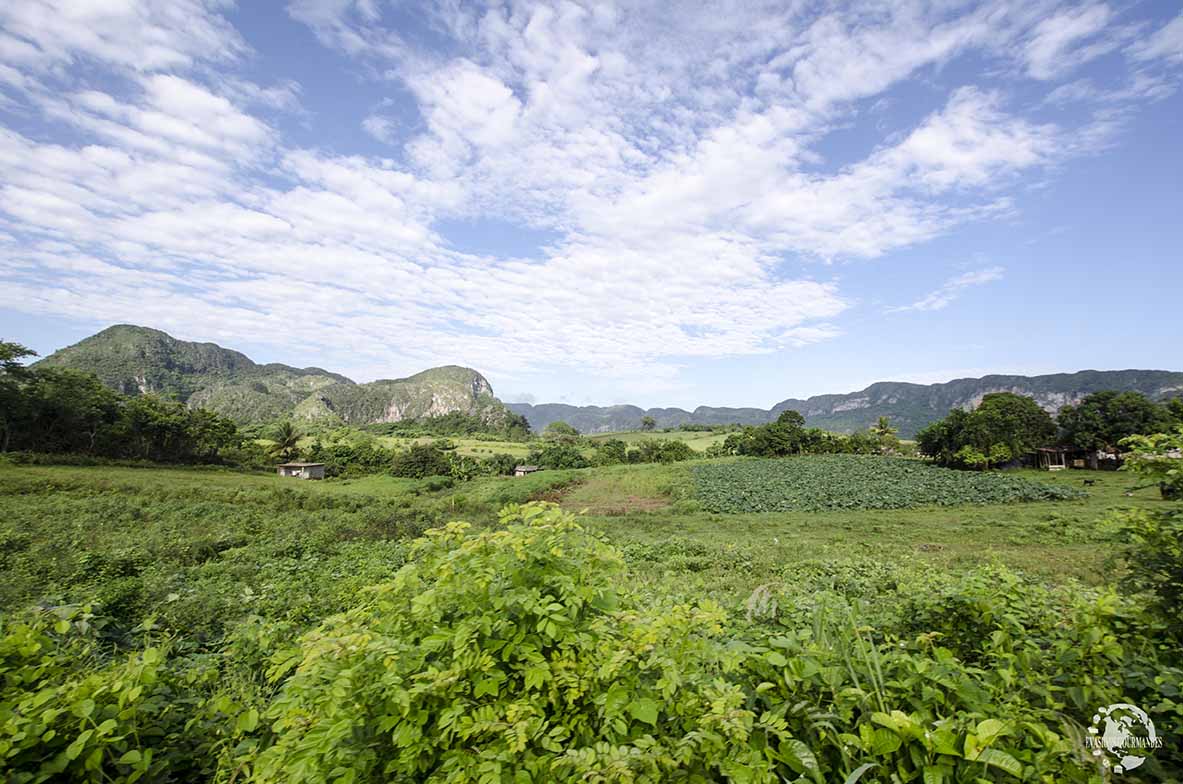 Viñales Cuba