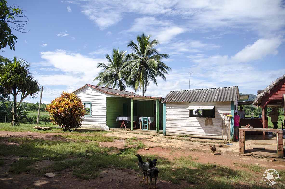 Viñales Cuba