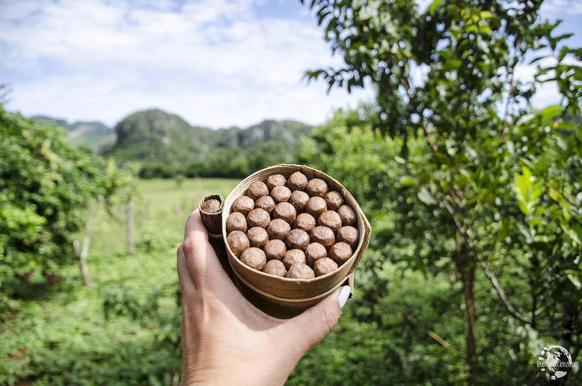 Viñales Cuba