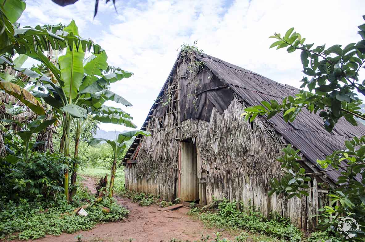 Viñales Cuba