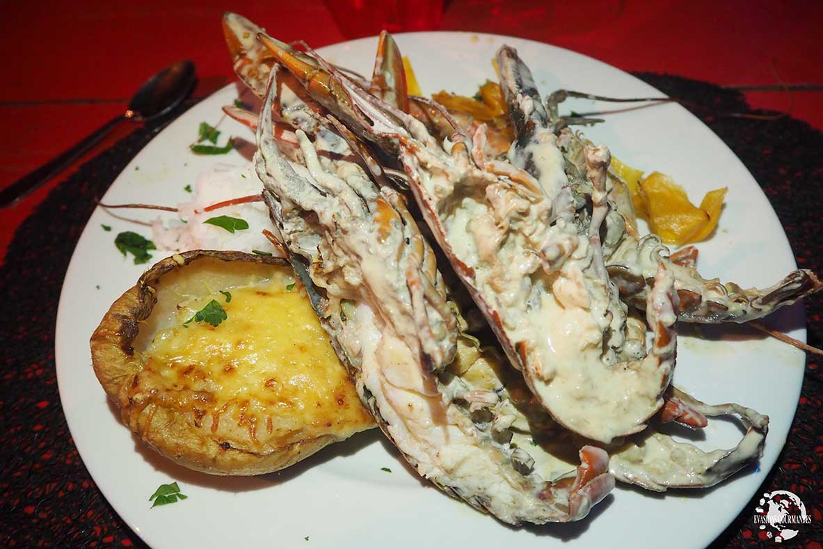 Langouste Martinique