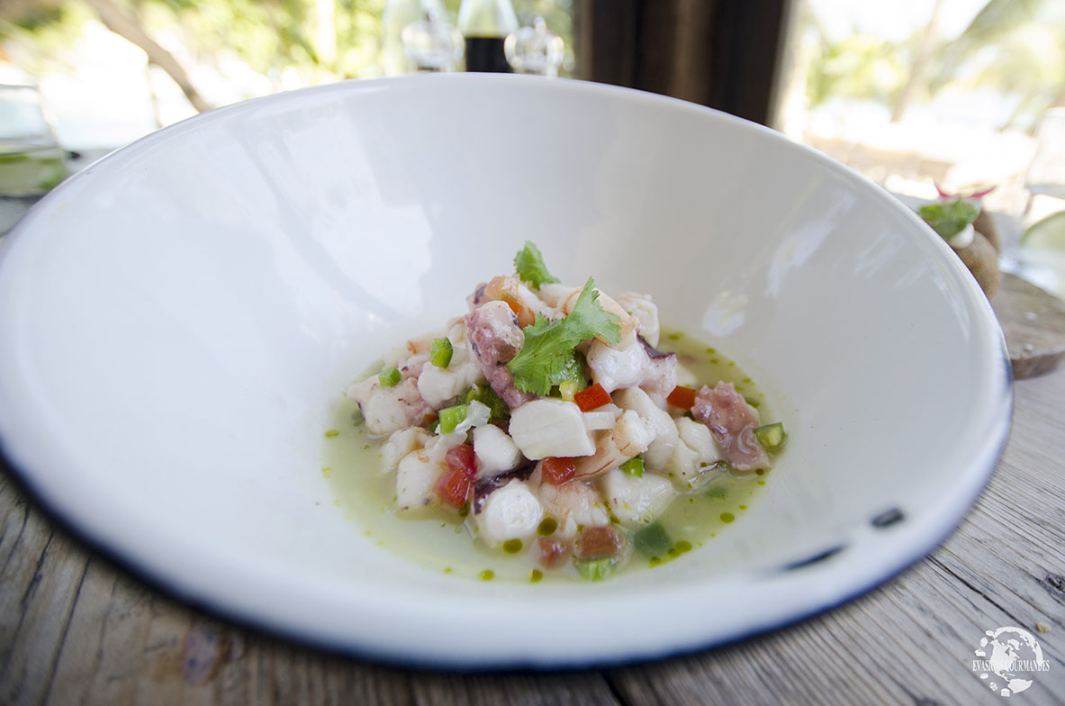 Cuisine mexicaine : ceviche