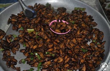street food Thaïlande