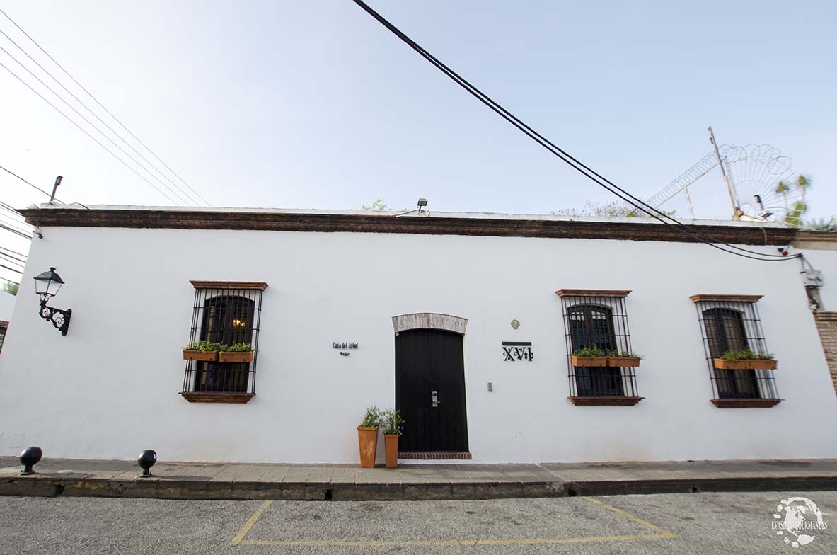 Casas del XVI, Casa del Arbol