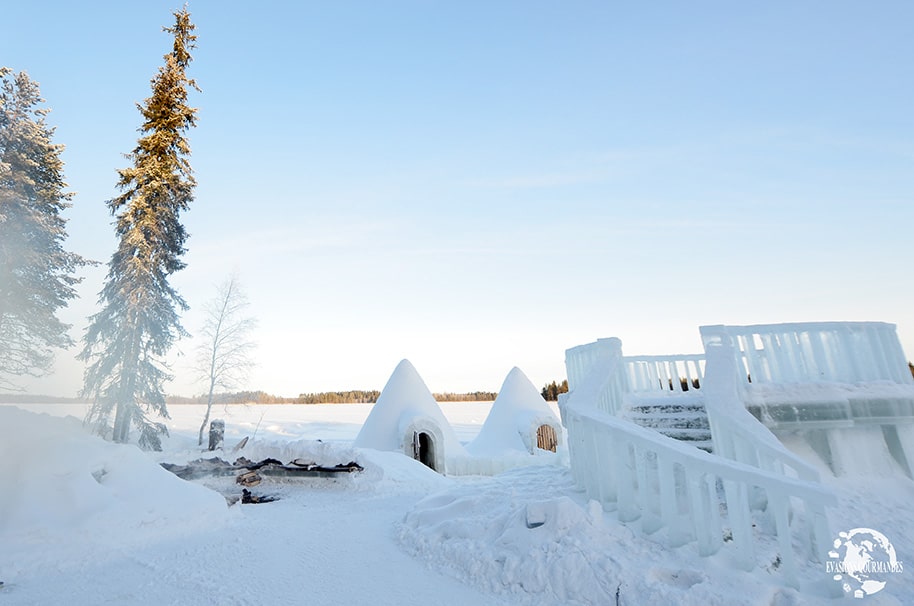 Arctic Wild Ice