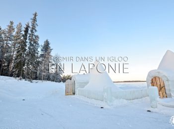 Arctic Wild Ice : Dormir dans un igloo à Ranua en Laponie finlandaise !