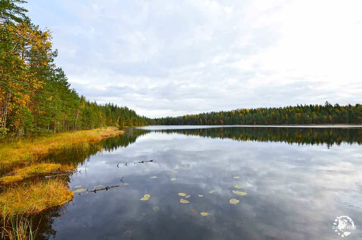 Kouvola