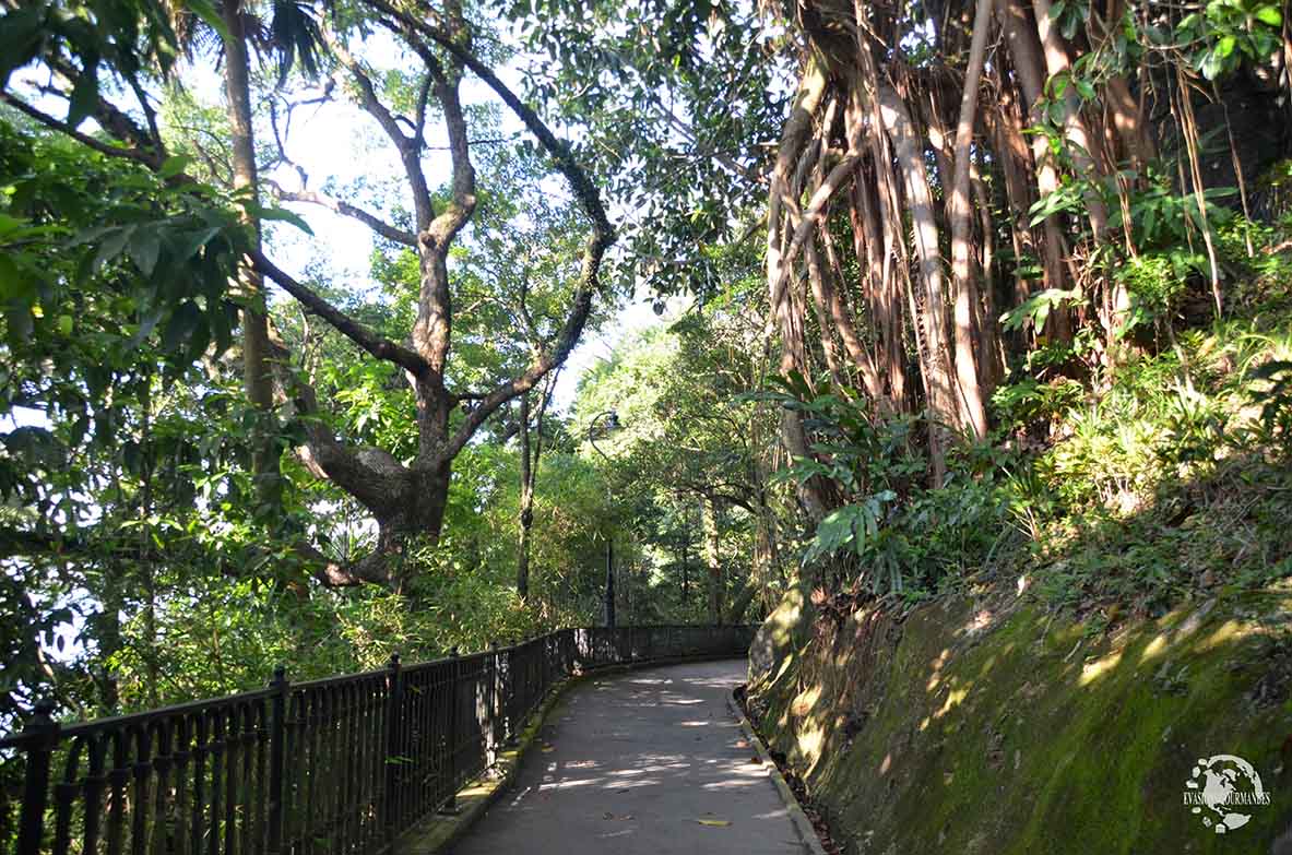 Victoria Peak