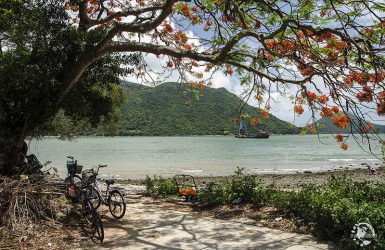 Tai O Village