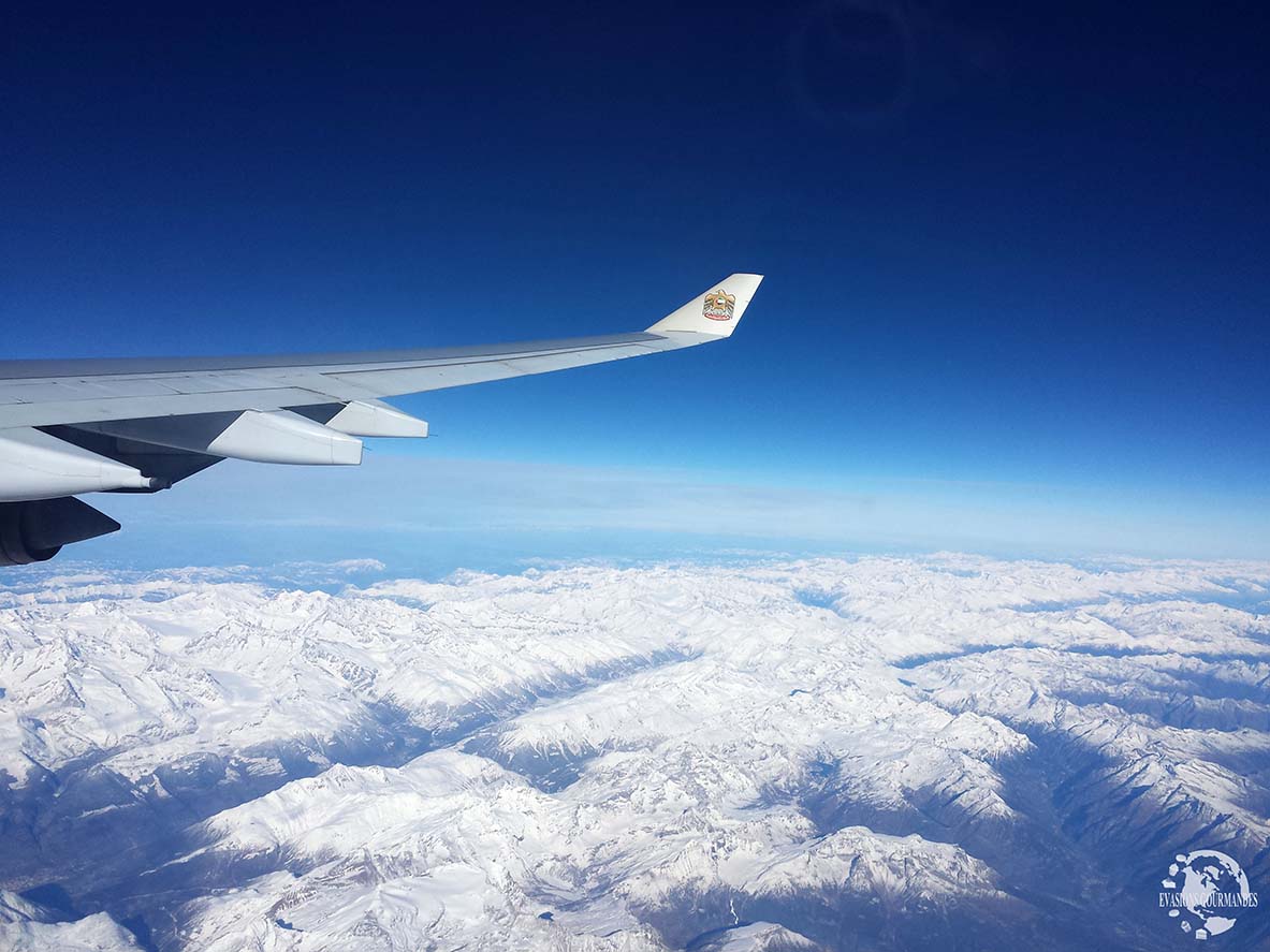 Alpes vues du ciel