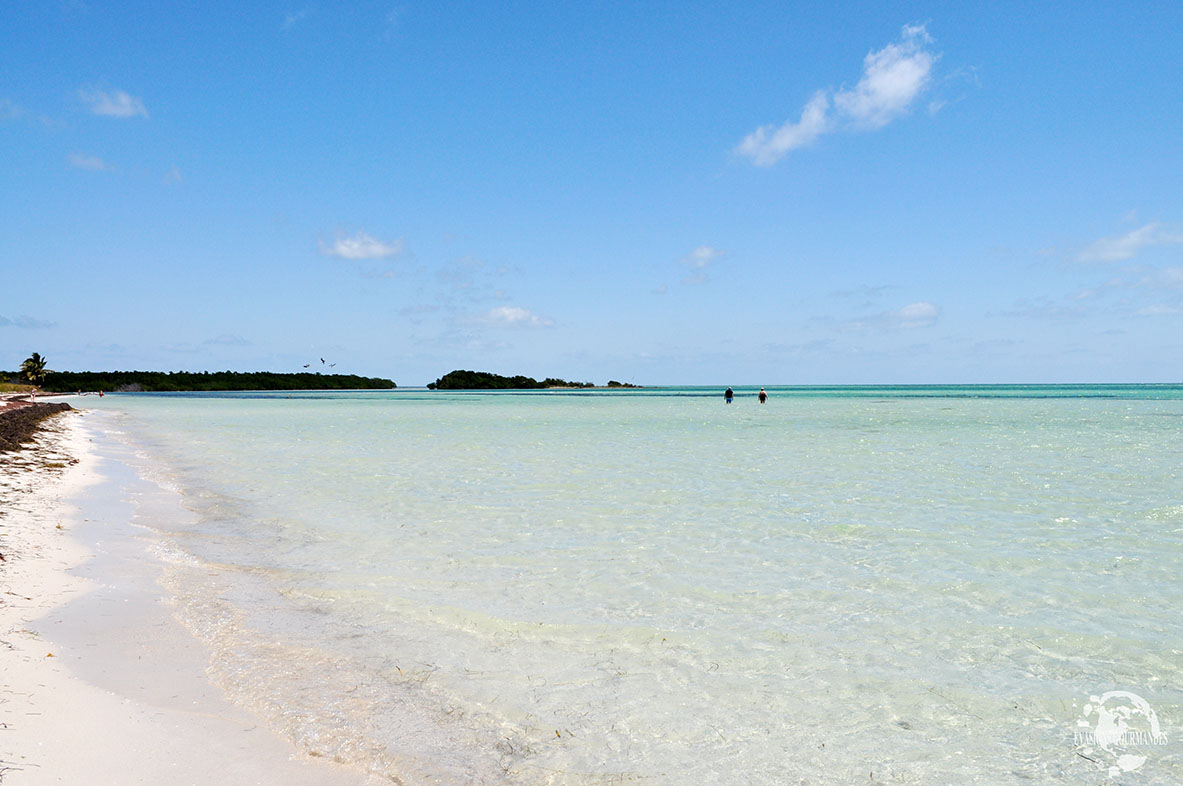 Bahia Honda Beach