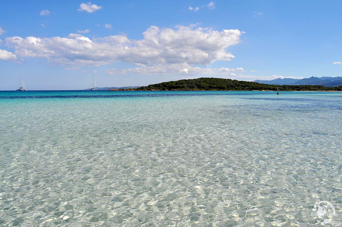 Cala Brandinchi en Sardaigne